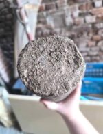 Komprimierte Holzscheite für die Nacht – Karton mit 12 Stück – Bild 4