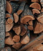 Eichenholz - Hartholz 33 cm - <25 % Feuchtigkeit – Bild 3