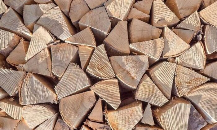 Kubikmeter Buche – Premiumholz 33 cm – Bild 4